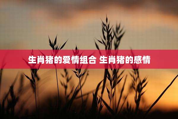 生肖猪的爱情组合 生肖猪的感情