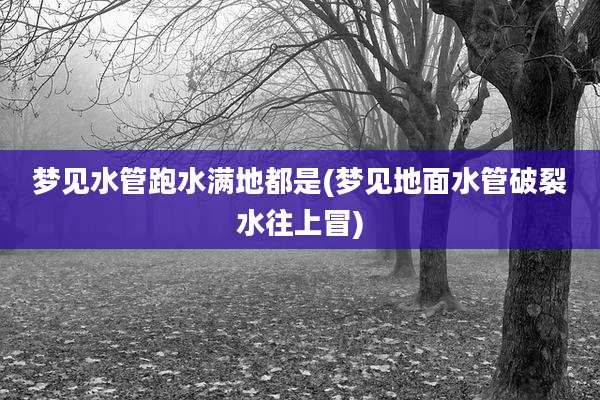 梦见水管跑水满地都是(梦见地面水管破裂水往上冒)