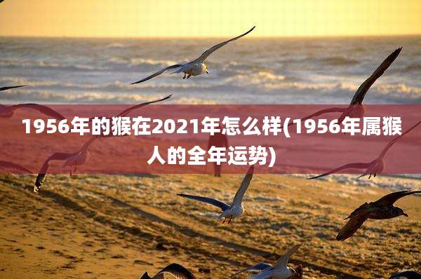 1956年的猴在2021年怎么样(1956年属猴人的全年运势)
