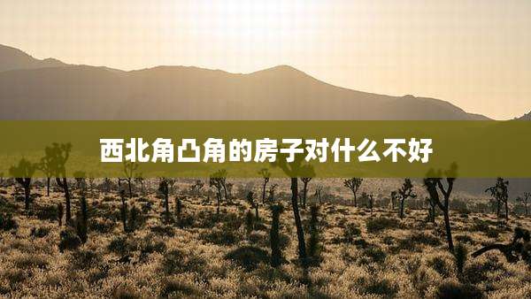 西北角凸角的房子对什么不好