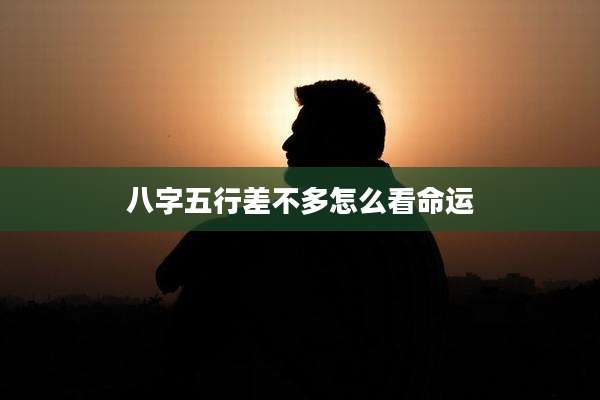 八字五行差不多怎么看命运