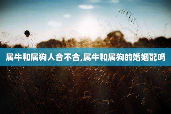 属牛和属狗人合不合,属牛和属狗的婚姻配吗