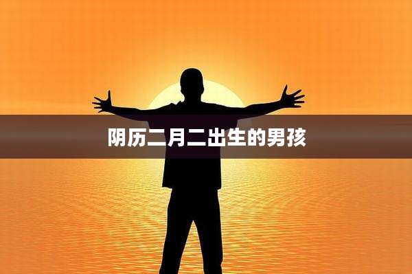 阴历二月二出生的男孩