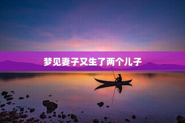 梦见妻子又生了两个儿子