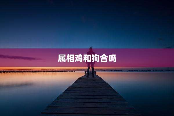 属相鸡和狗合吗