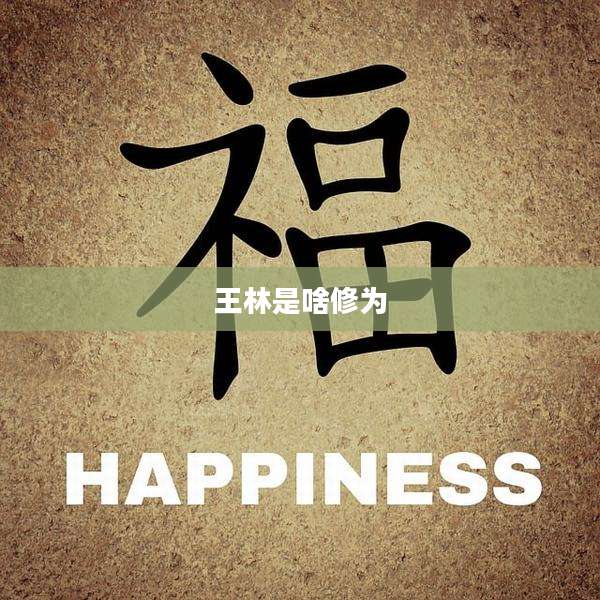 王林是啥修为