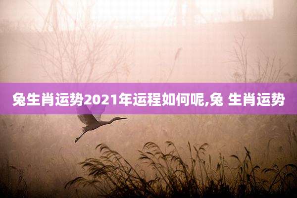 兔生肖运势2021年运程如何呢,兔 生肖运势