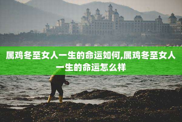 属鸡冬至女人一生的命运如何,属鸡冬至女人一生的命运怎么样