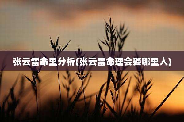 张云雷命里分析(张云雷命理会娶哪里人)