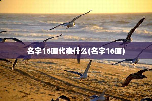名字16画代表什么(名字16画)
