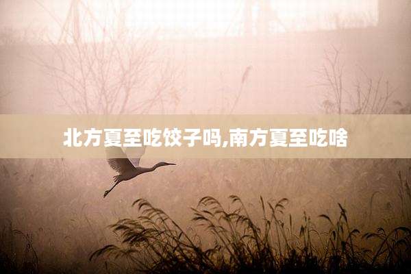 北方夏至吃饺子吗,南方夏至吃啥