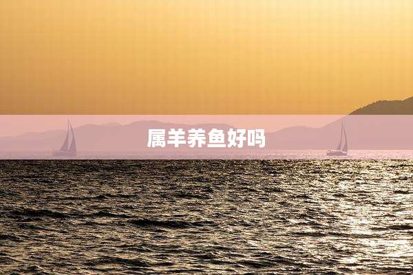 属羊养鱼好吗