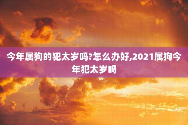 今年属狗的犯太岁吗?怎么办好,2021属狗今年犯太岁吗