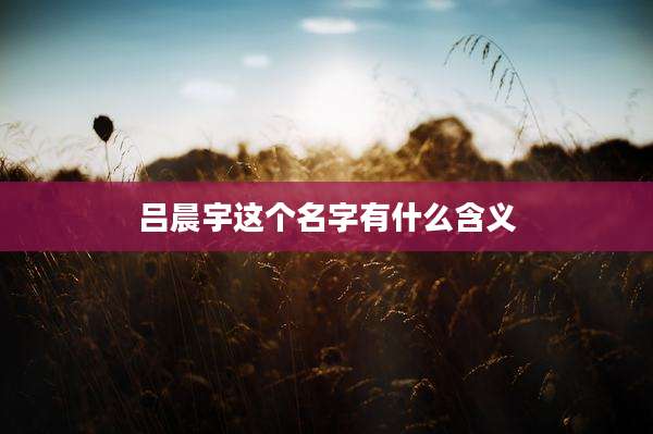 吕晨宇这个名字有什么含义