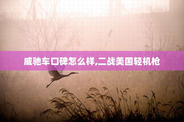 威驰车口碑怎么样,二战美国轻机枪