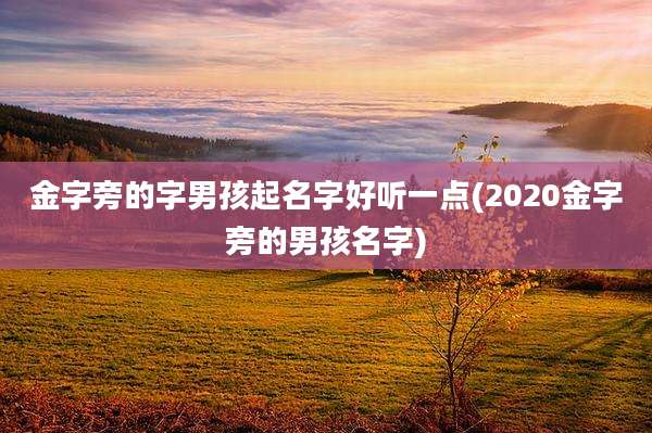 金字旁的字男孩起名字好听一点(2020金字旁的男孩名字)