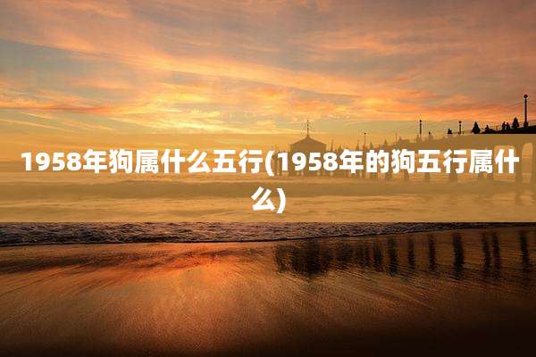 1958年狗属什么五行(1958年的狗五行属什么)