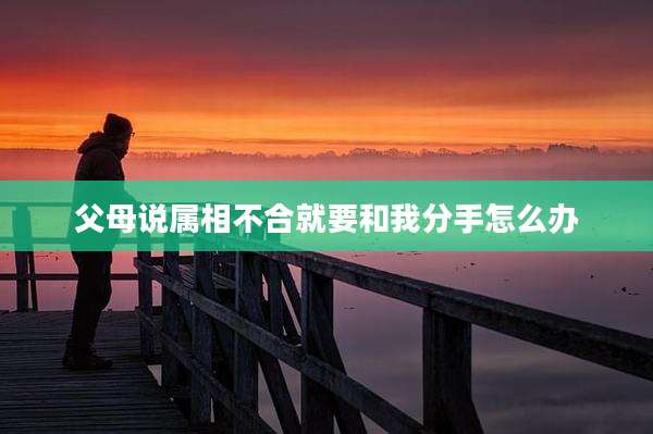父母说属相不合就要和我分手怎么办