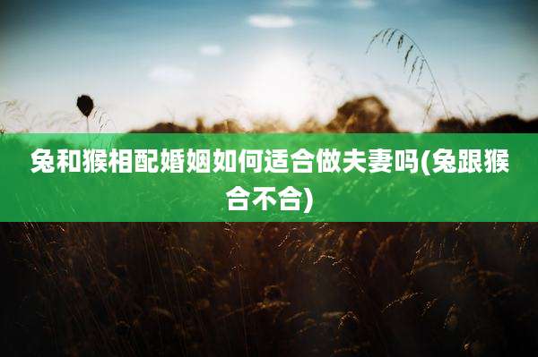 兔和猴相配婚姻如何适合做夫妻吗(兔跟猴合不合)