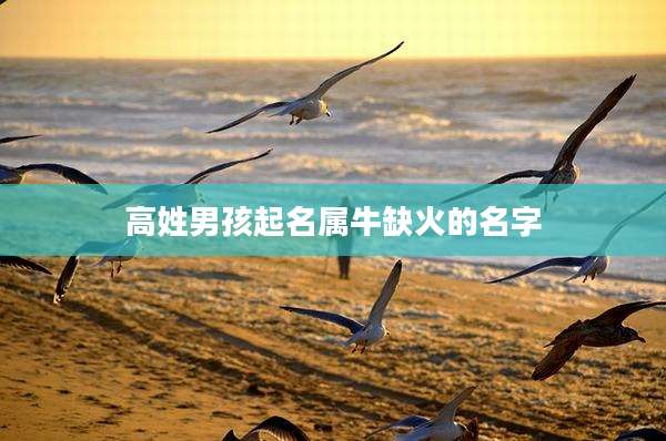高姓男孩起名属牛缺火的名字
