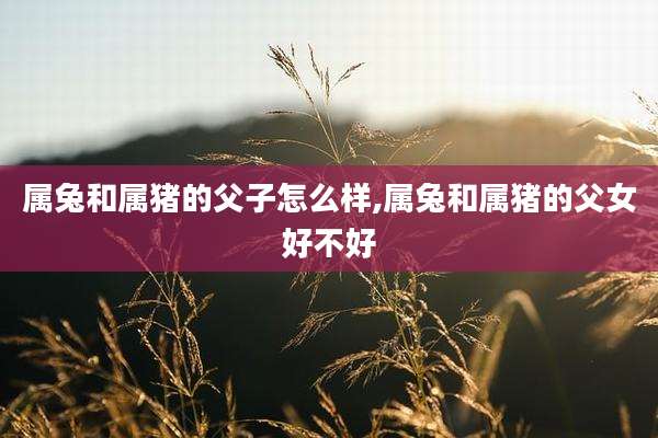 属兔和属猪的父子怎么样,属兔和属猪的父女好不好