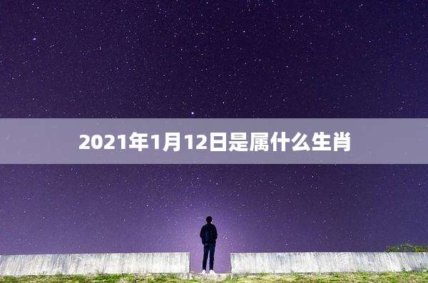 2021年1月12日是属什么生肖