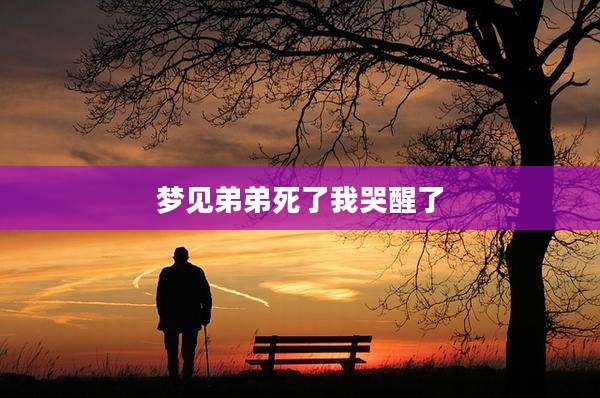 梦见弟弟死了我哭醒了
