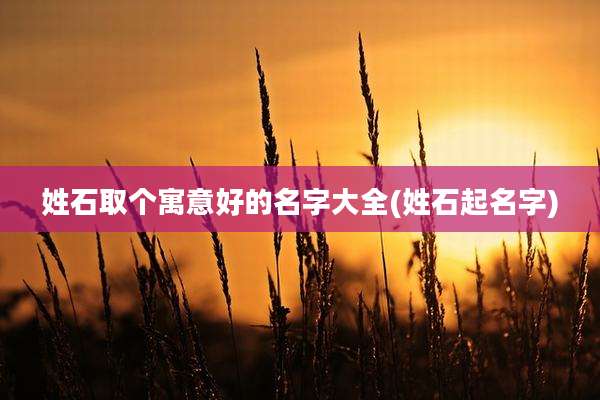 姓石取个寓意好的名字大全(姓石起名字)