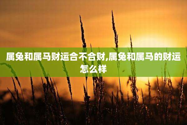 属兔和属马财运合不合财,属兔和属马的财运怎么样