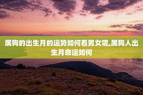 属狗的出生月的运势如何看男女呢,属狗人出生月命运如何