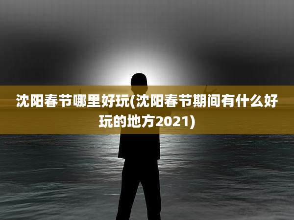 沈阳春节哪里好玩(沈阳春节期间有什么好玩的地方2021)