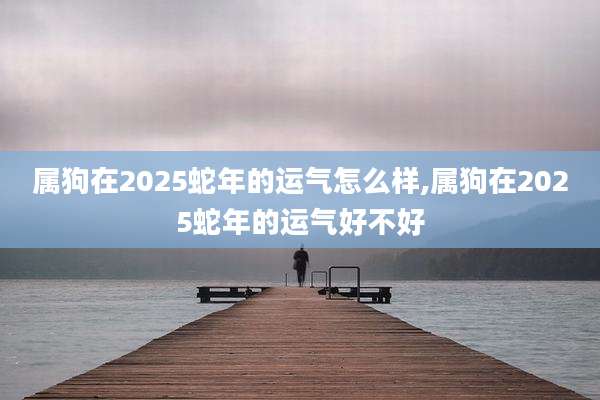 属狗在2025蛇年的运气怎么样,属狗在2025蛇年的运气好不好