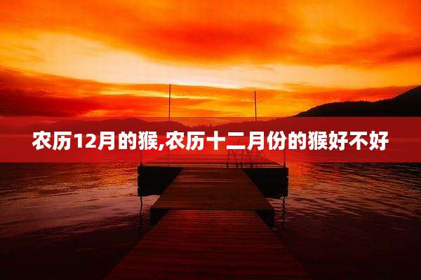 农历12月的猴,农历十二月份的猴好不好