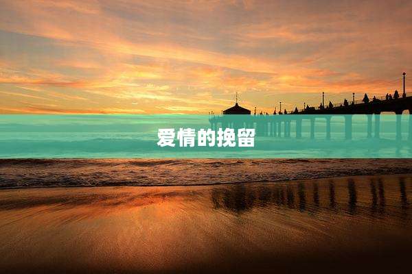 爱情的挽留