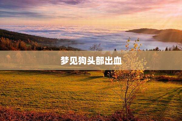 梦见狗头部出血