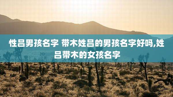 性吕男孩名字 带木姓吕的男孩名字好吗,姓吕带木的女孩名字