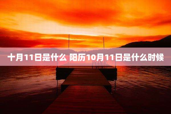 十月11日是什么 阳历10月11日是什么时候