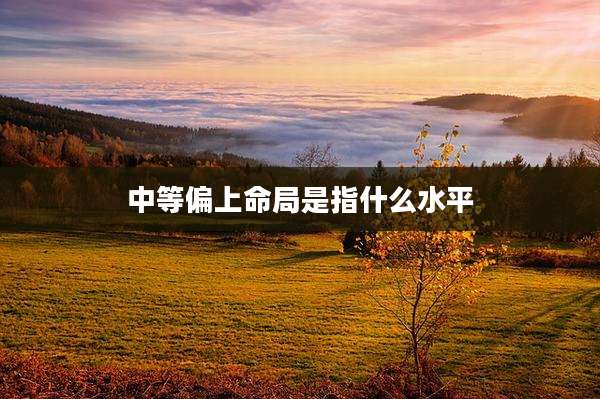 中等偏上命局是指什么水平