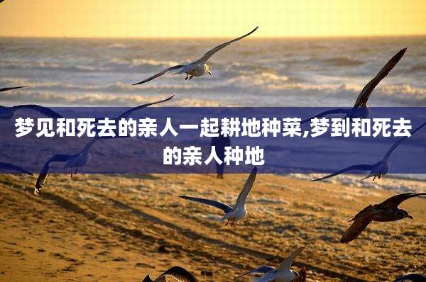 梦见和死去的亲人一起耕地种菜,梦到和死去的亲人种地