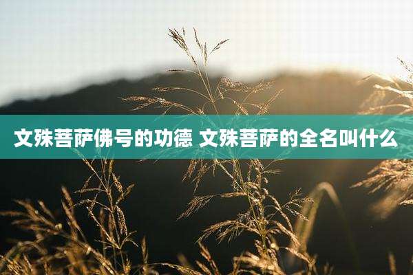 文殊菩萨佛号的功德 文殊菩萨的全名叫什么