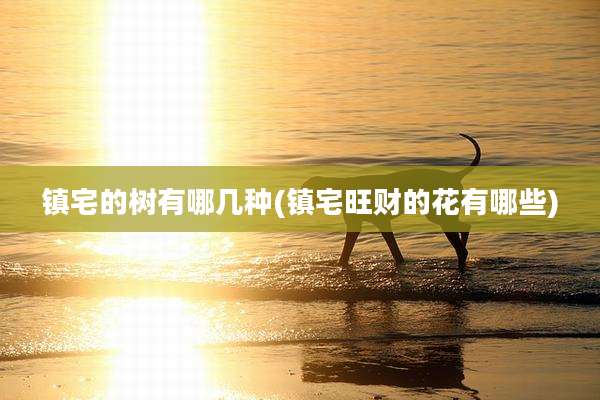 镇宅的树有哪几种(镇宅旺财的花有哪些)