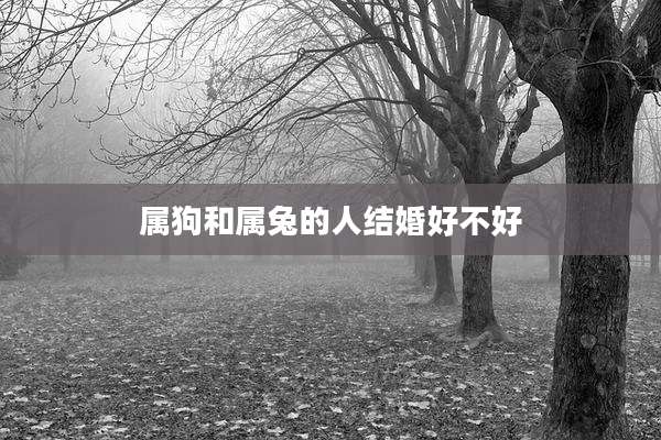 属狗和属兔的人结婚好不好
