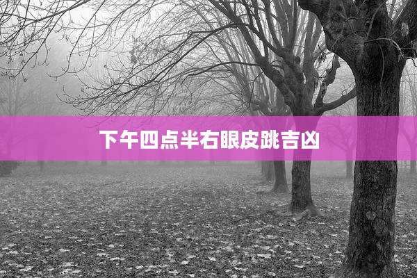 下午四点半右眼皮跳吉凶