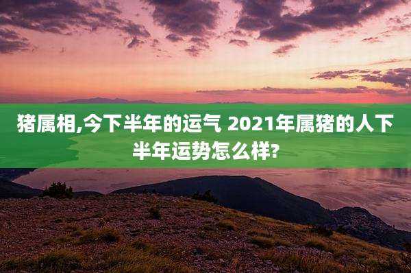 猪属相,今下半年的运气 2021年属猪的人下半年运势怎么样?
