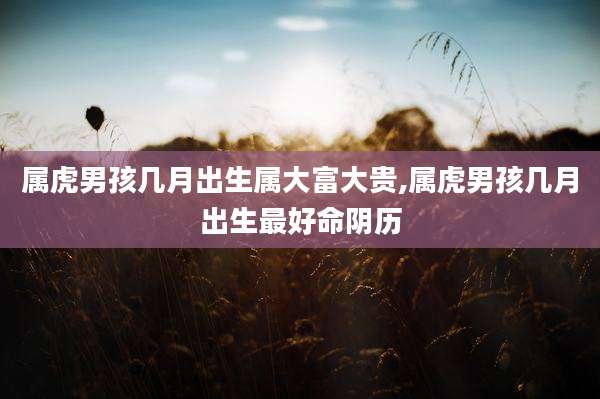属虎男孩几月出生属大富大贵,属虎男孩几月出生最好命阴历