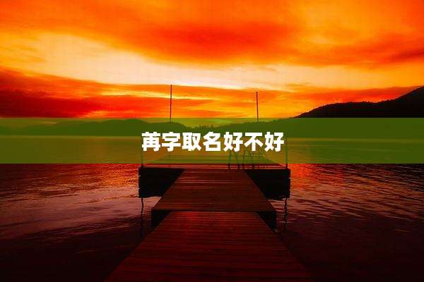 苒字取名好不好