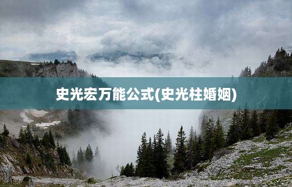 史光宏万能公式(史光柱婚姻)