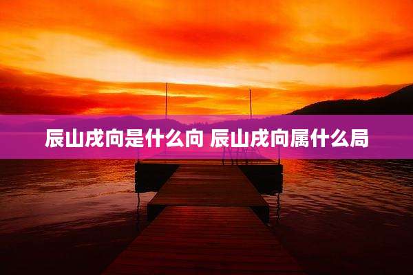 辰山戌向是什么向 辰山戌向属什么局