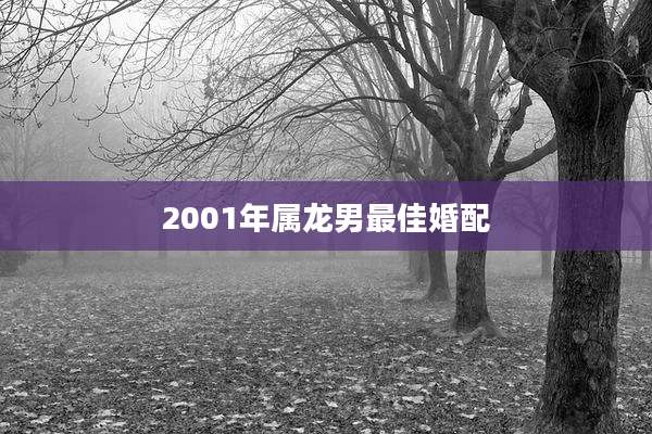 2001年属龙男最佳婚配