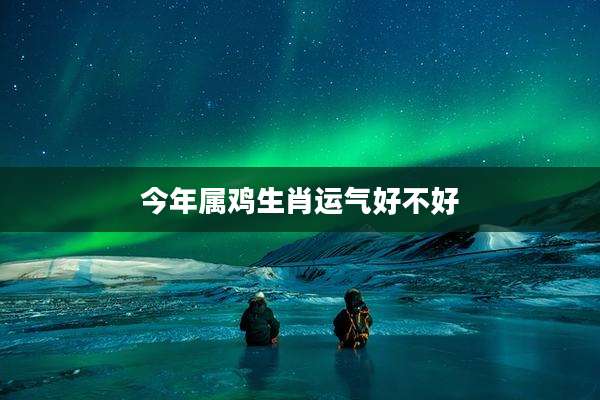 今年属鸡生肖运气好不好